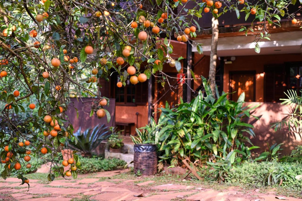 Tiô Isolda Artes&Hospedaria Casa Branca Exterior foto